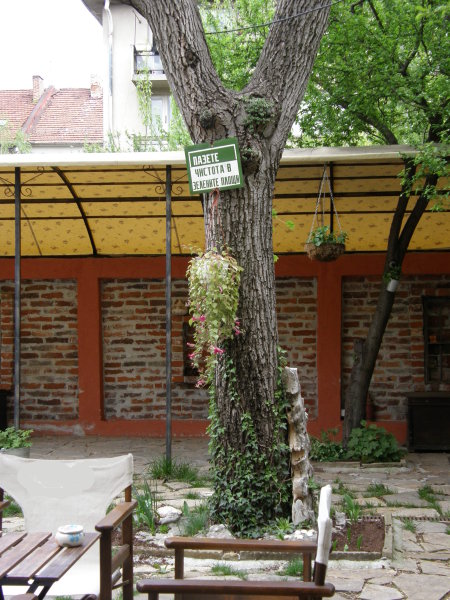 кафене